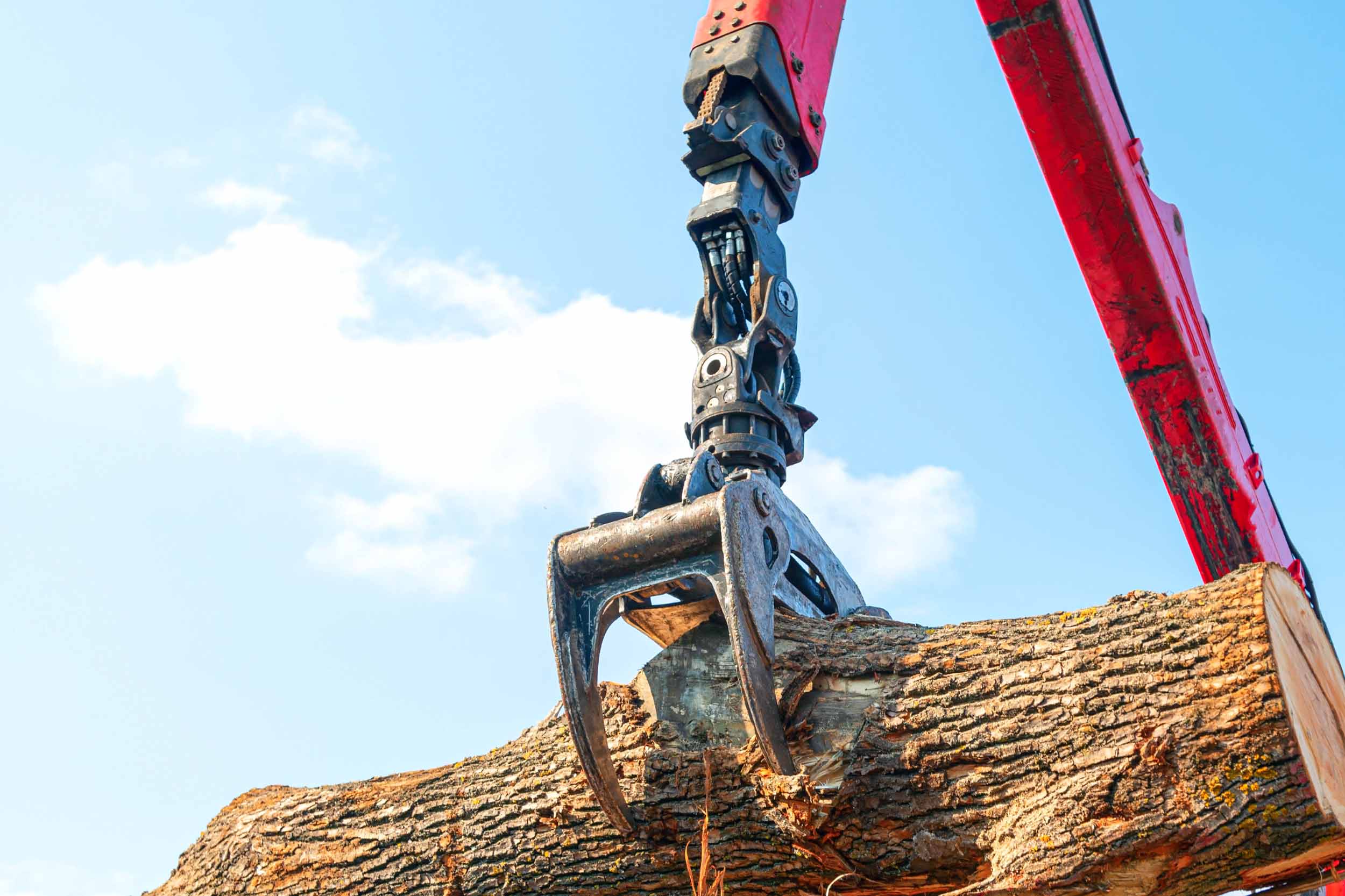 Truck with a crane lifts a giant log